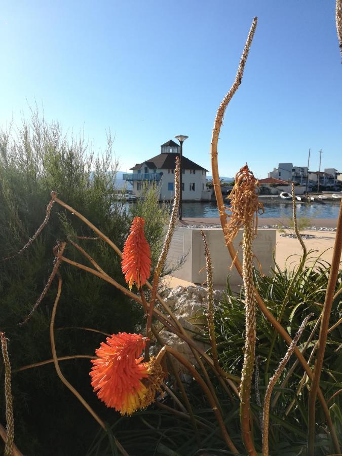 Appartement Cosy Sur La Presqu'Ile De Cap Coudalere Avec Piscine Ouverte Et Chauffee Le Barcares Luaran gambar