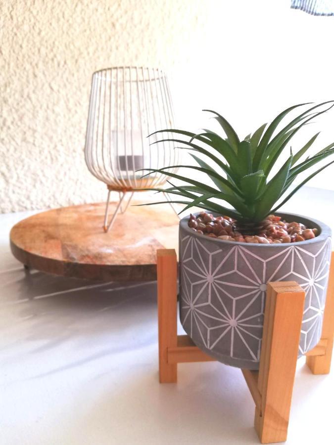Appartement Cosy Sur La Presqu'Ile De Cap Coudalere Avec Piscine Ouverte Et Chauffee Le Barcares Luaran gambar